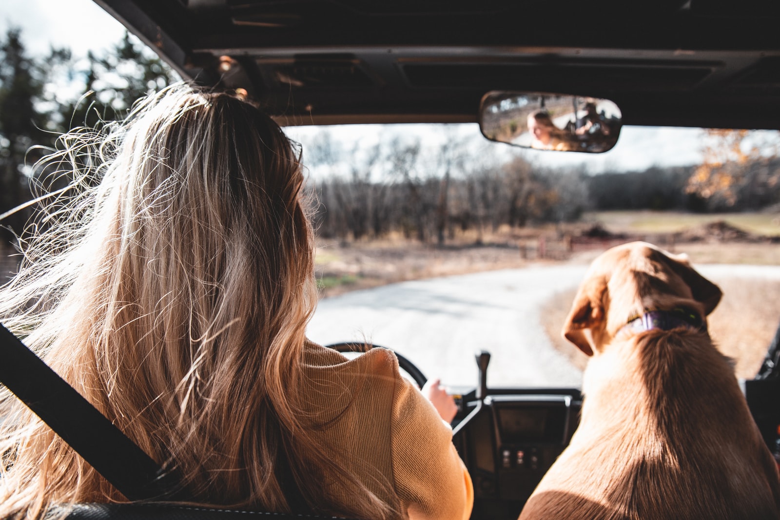 woman in brown long sleeve shirt sitting on car seat beside brown short coated dog during