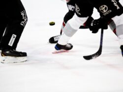 people playing ice hockey