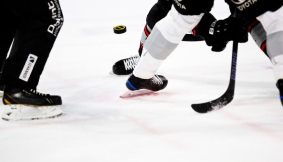 people playing ice hockey