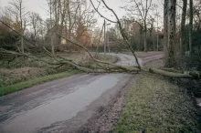 Strom přes silnici