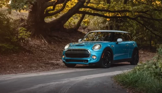 Modrý Mini Cooper zaparkovaný na lesní silnici
