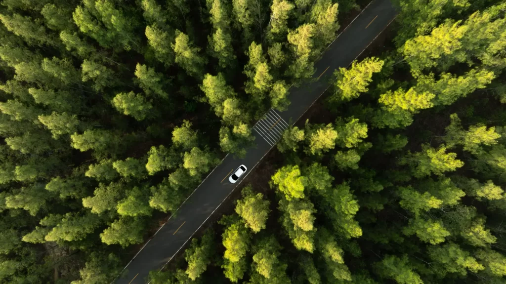 Tiché elektromotory jsou v souladu s přírodou, ale mají svá rizika. 
