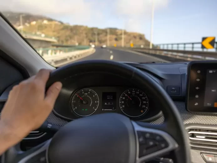 Pohled řidiče na rychloměr s rukou na volantu.