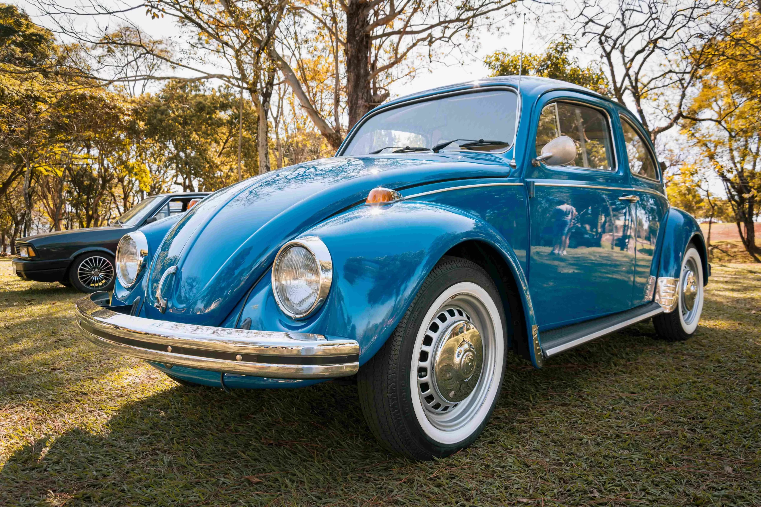 Volkswagen brouk