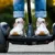 Pohled zblízka na boty jezdce stojícího na Segwayi při jízdě po asfaltu