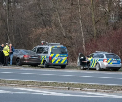 Policie stojí na dálnici