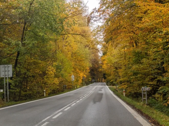 Státní silnice I/11