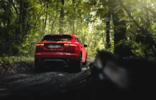 Auto zaparkované v lese