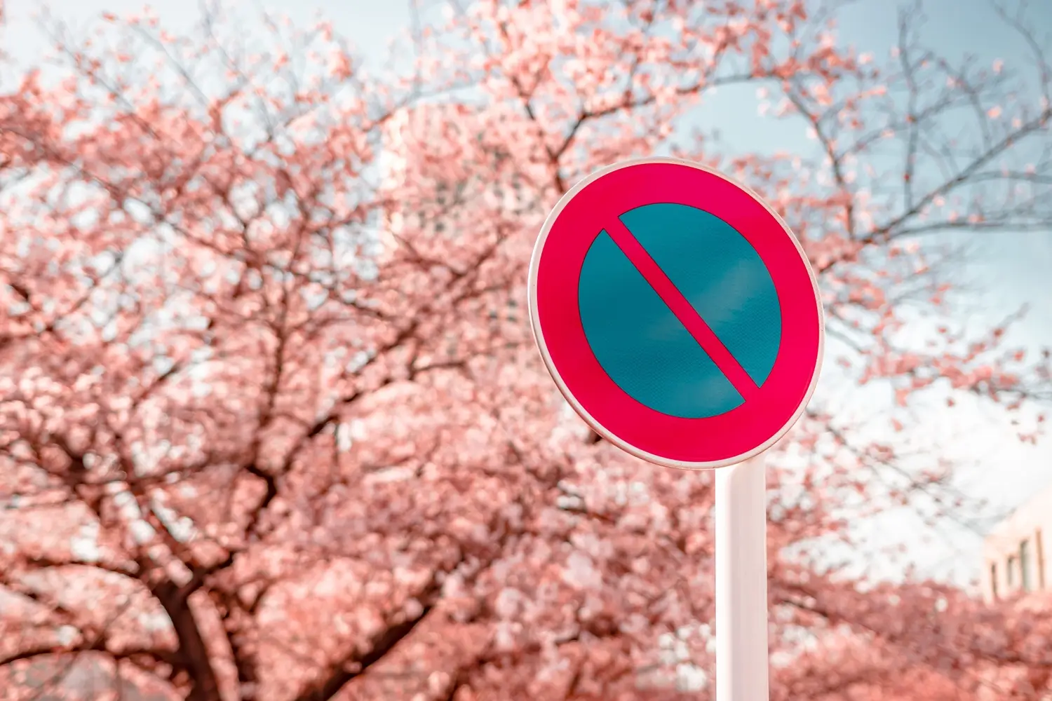 Dopravní značka B29 nezakazuje řidičům stát na nezbytně dlouhou dobu Zdroj Shutterstock - MotorGuru.cz dopravní značka B29