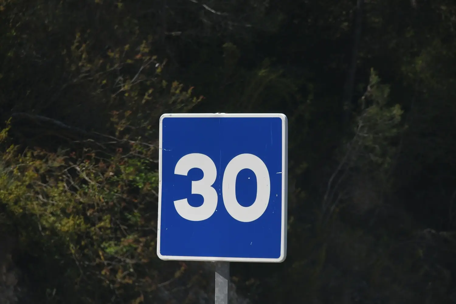 čtvercová dopravní značka, maximální doporučená rychlost