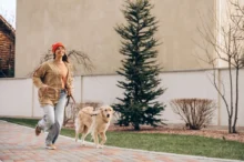 Nejbezpečnější je mít našeho psa bezpečně na vodítku.