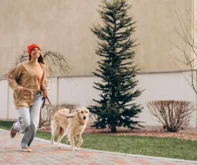 Nejbezpečnější je mít našeho psa bezpečně na vodítku.