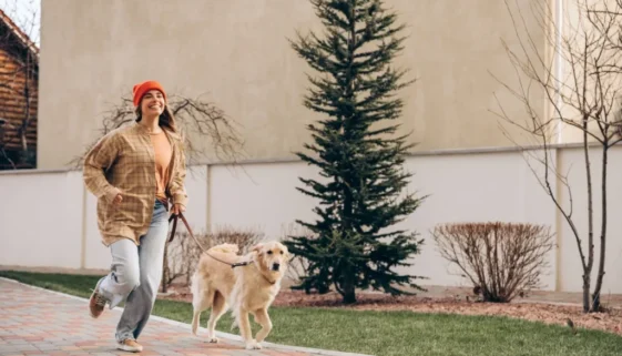 Nejbezpečnější je mít našeho psa bezpečně na vodítku.