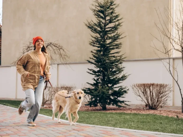 Nejbezpečnější je mít našeho psa bezpečně na vodítku.