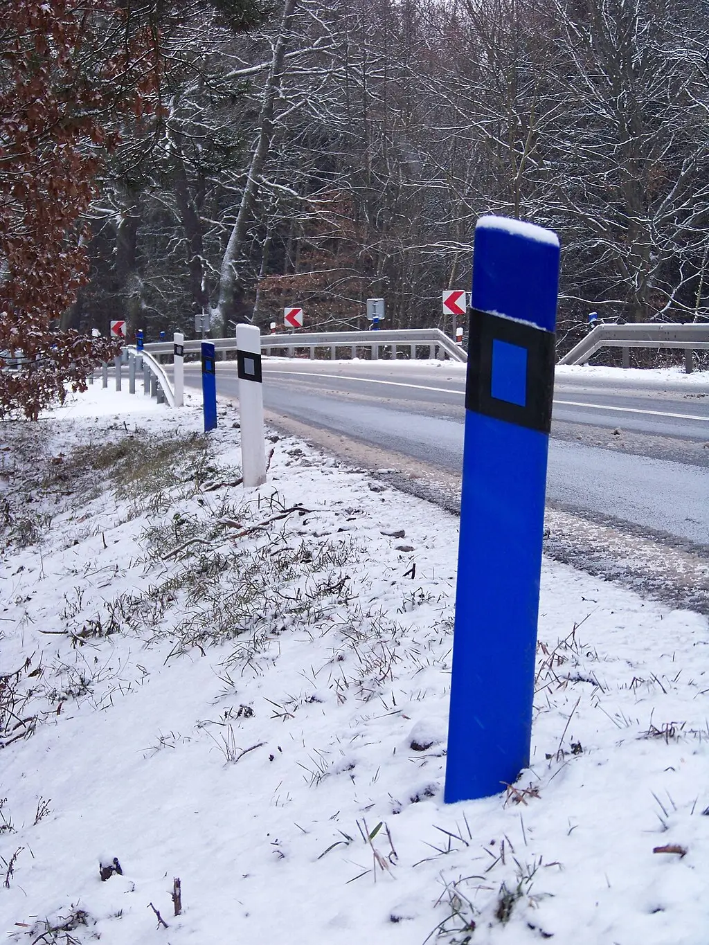 - MotorGuru.cz Modrý směrový sloupek ve sněhu u silnice