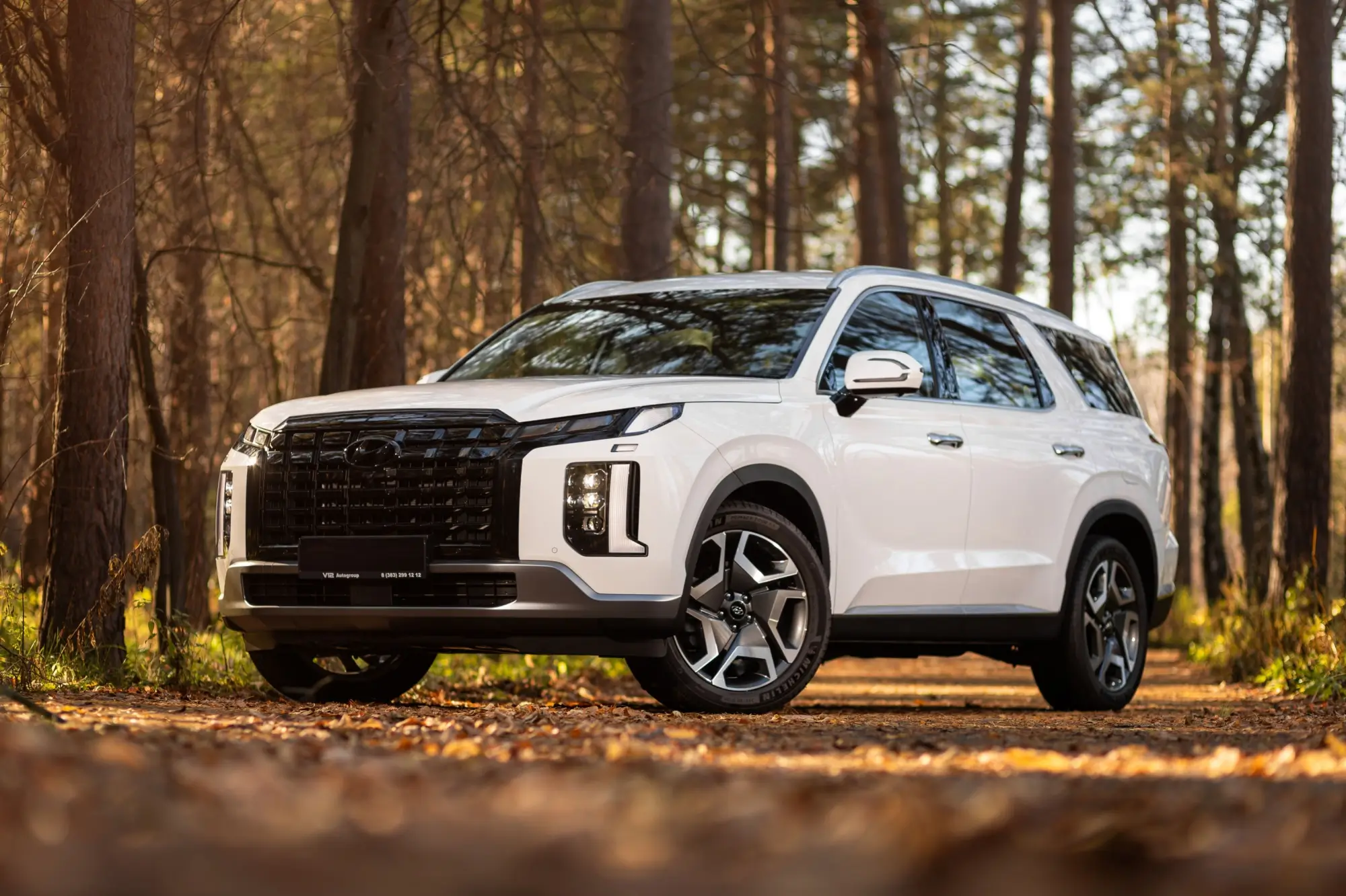 Hyndai Palisade pojme až devítičlenou posádku.